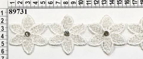 Accesorii Vestimentare