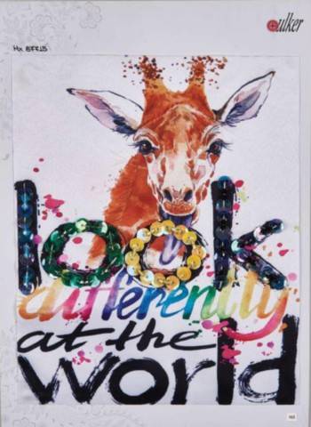 Accesorii Vestimentare